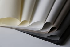 Morelle Blackout (FR)